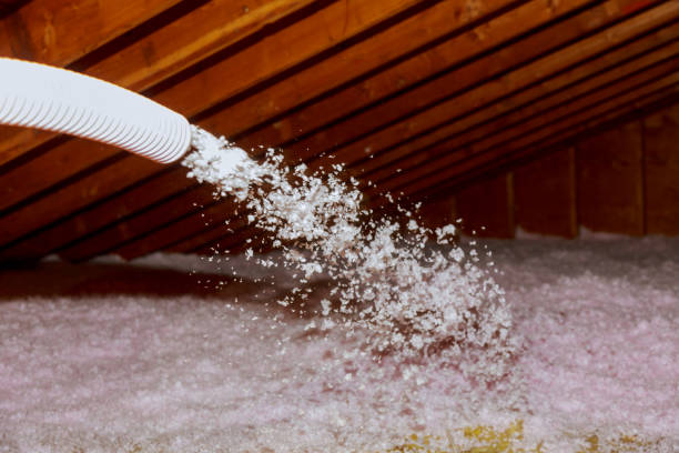 Best Eco-Friendly Insulation in Quail Ridge, FL